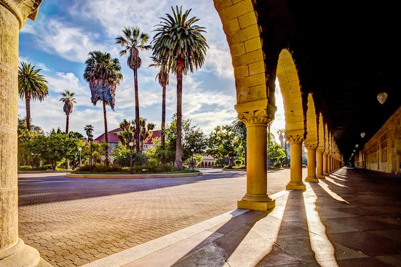 Palm trees and stone columns on the Stanford University campus in Palo Alto, California