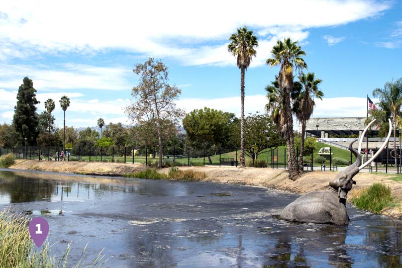 The Los Angeles Tar Pits