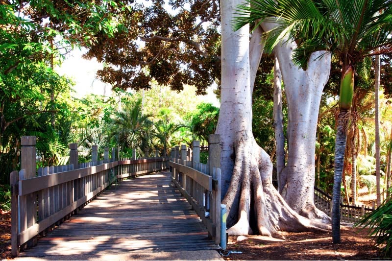 A pathway in Balboa Park on the northern border of Golden Hill. 