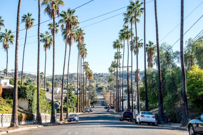 A palm tree lined residential street in Highland Park, LA. 