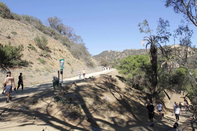 People hiking in Runyon Canyon. 