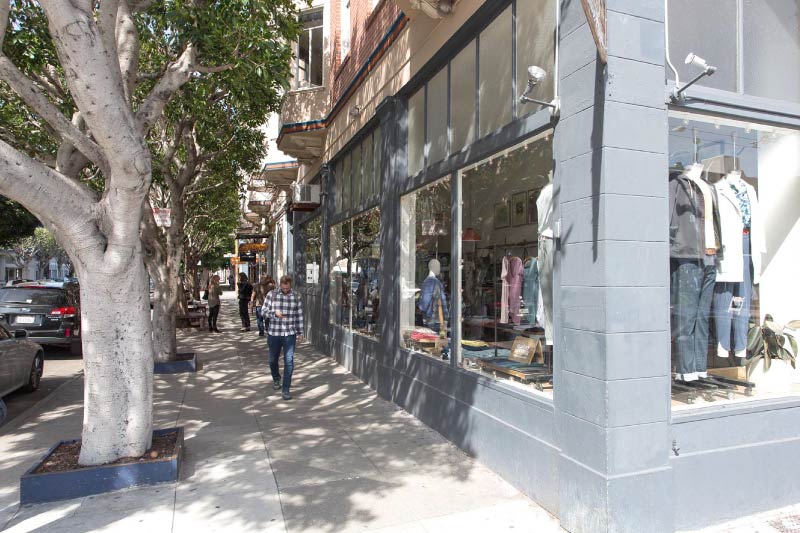 A tree covered street lined with shops in Hayes Valley, San Francisco. 