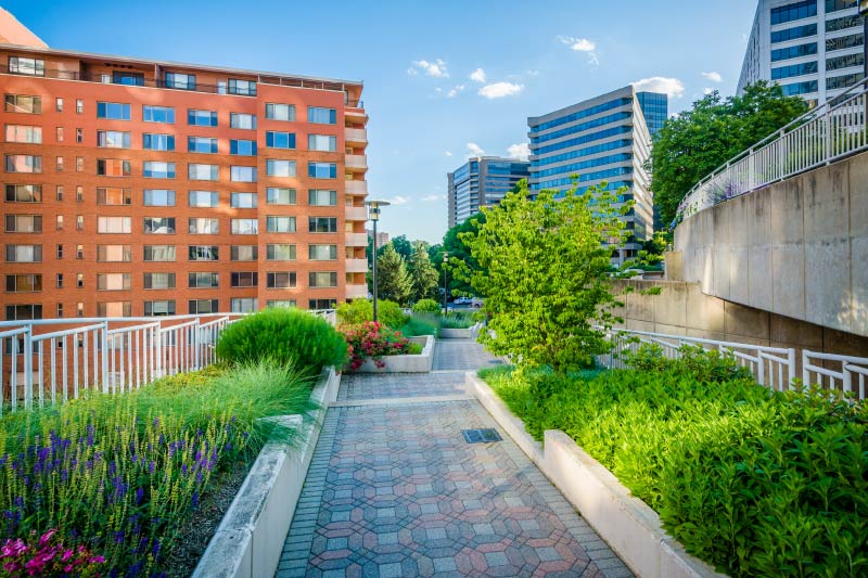 Buildings surrounding Freedom Park in Arlington, Virginia