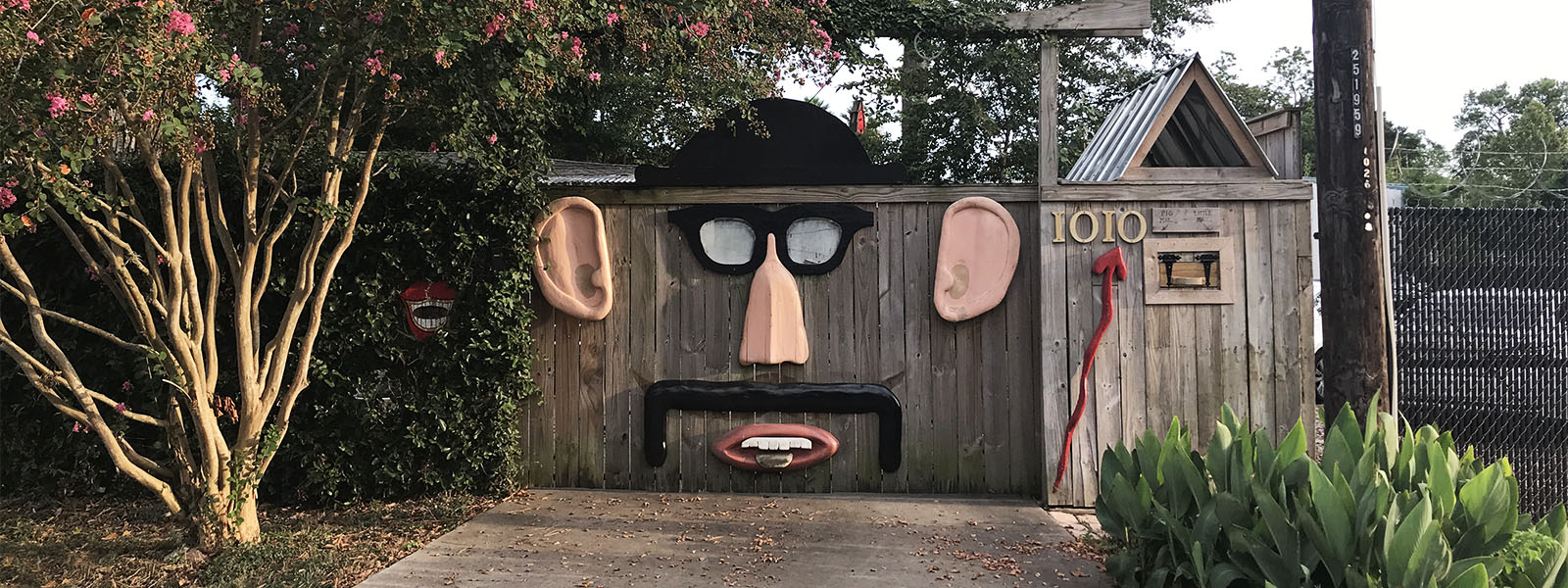 What It's Like Living in Shady Acres, Houston