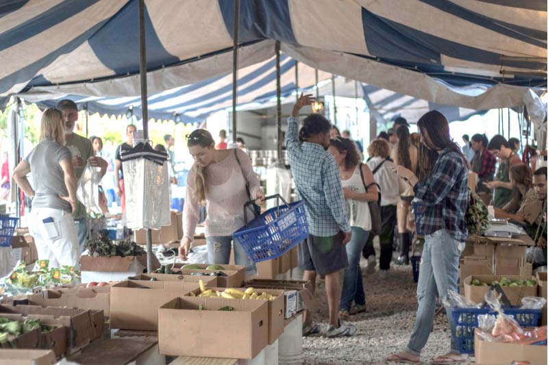 The Coconut Grove Farmers Market. 