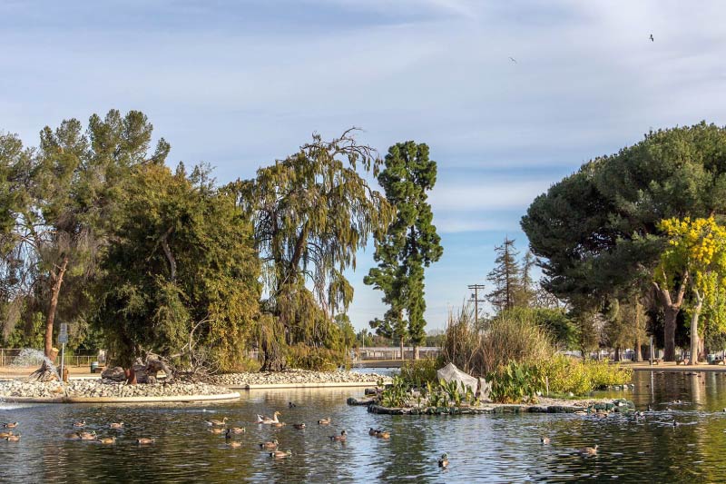 The Reseda Park Lake. 