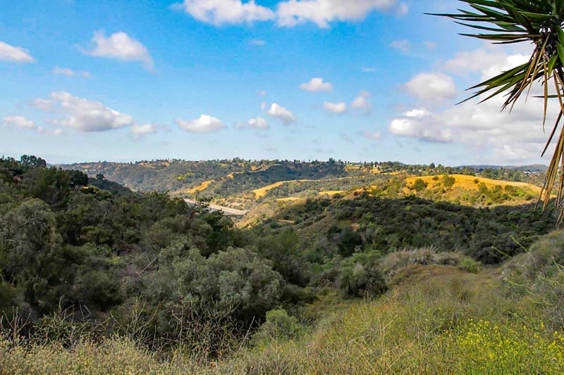A view of the rolling hills visible from Bel-Air, Los Angeles. 