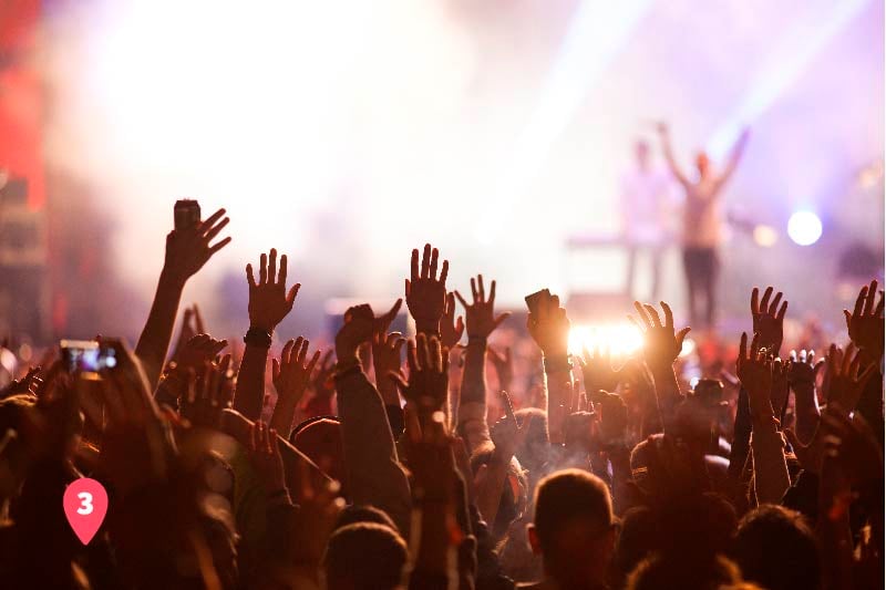 Concert attendees dance to music