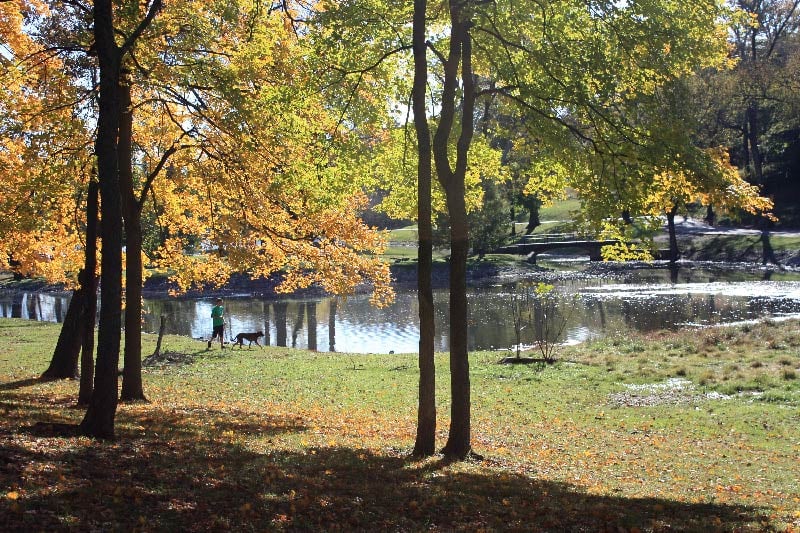 Shelby Park, located on the Southeast side of Lockeland Springs.