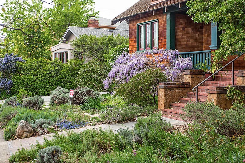 A brick house in Rockridge, Oakland with lots of flowers and greenery around it.