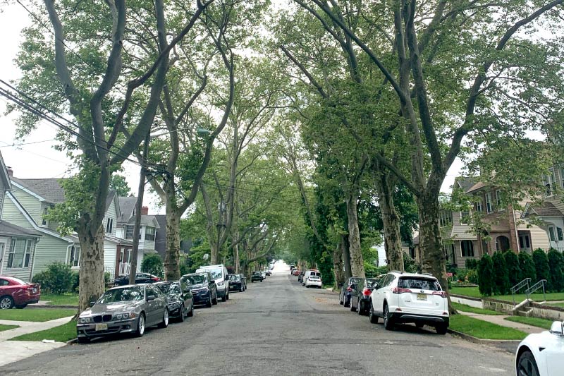 A residential street in Rutherford. 