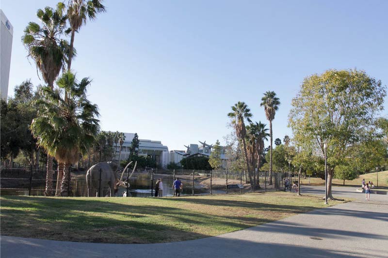 The La Brea Tar Pit. 