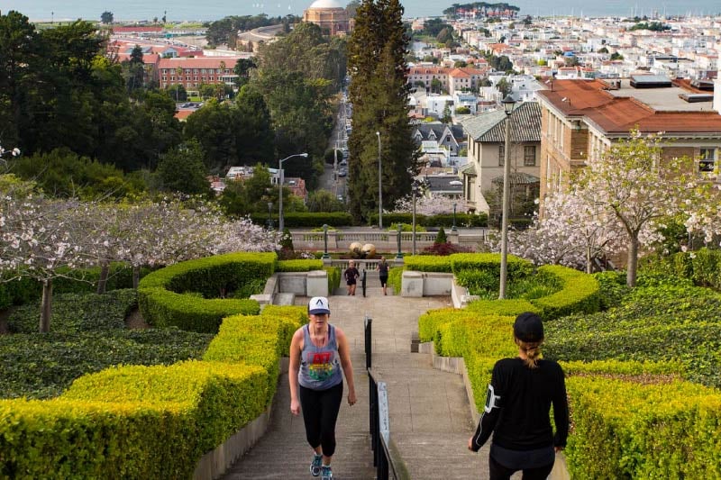 The Lyon Street Steps near Presidio Heights. 