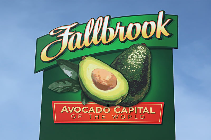 Fallbrook Avocado Capital of The World