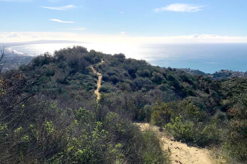 A hiking path in the Santa Monica mountains near Westwood. 