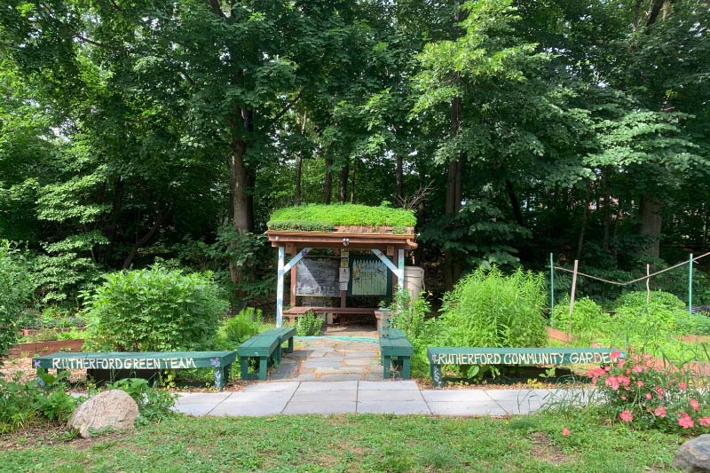 The Rutherford Community Garden. 