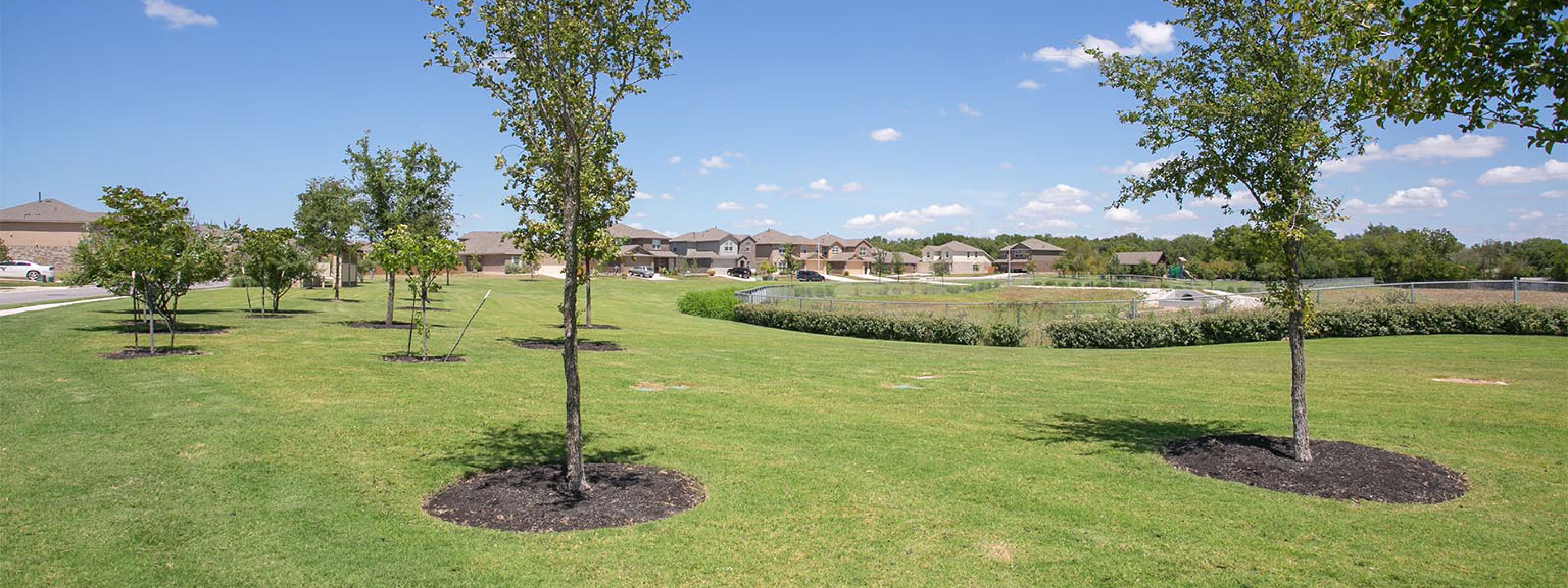 5 Best Austin Suburbs for Buying a Home