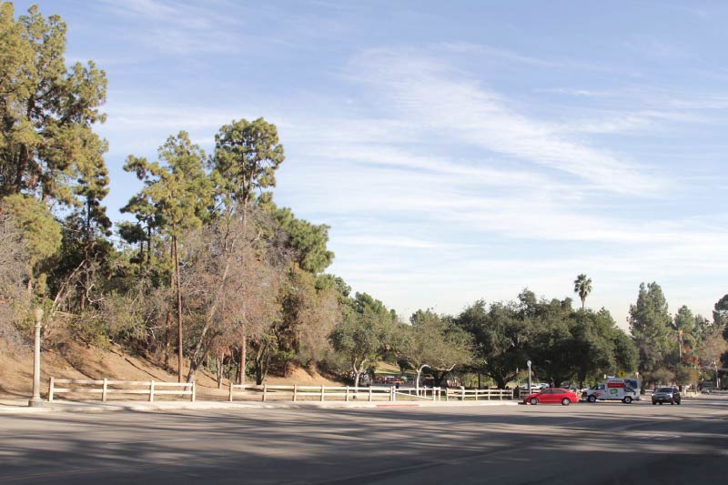 Griffith Park in Los Felix, Los Angeles. 