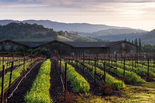 Drink in the Beauty of Family-Owned Wineries in Napa Valley