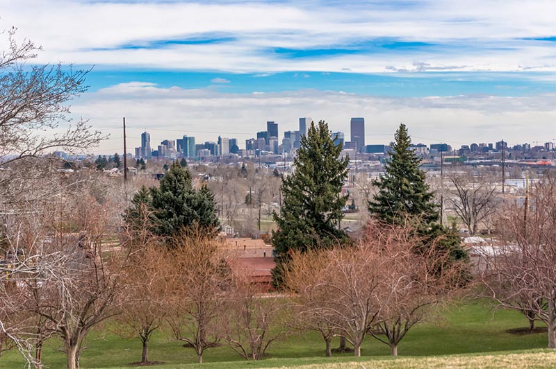 A view from a park that rises above the Denver skyline