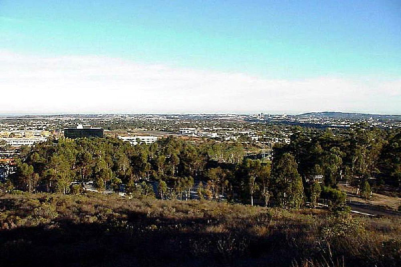 Mira Mesa