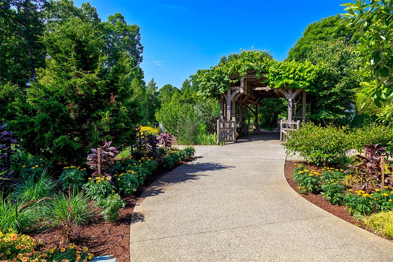 A path in a park that winds into a trellis with tons of greenery around it