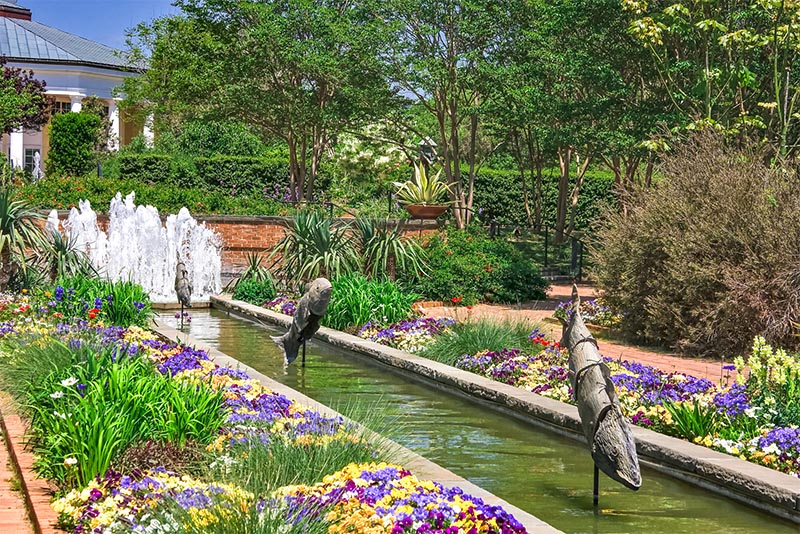 A fountain with many flowers around and a sclupture of fish in the center in North Carolina