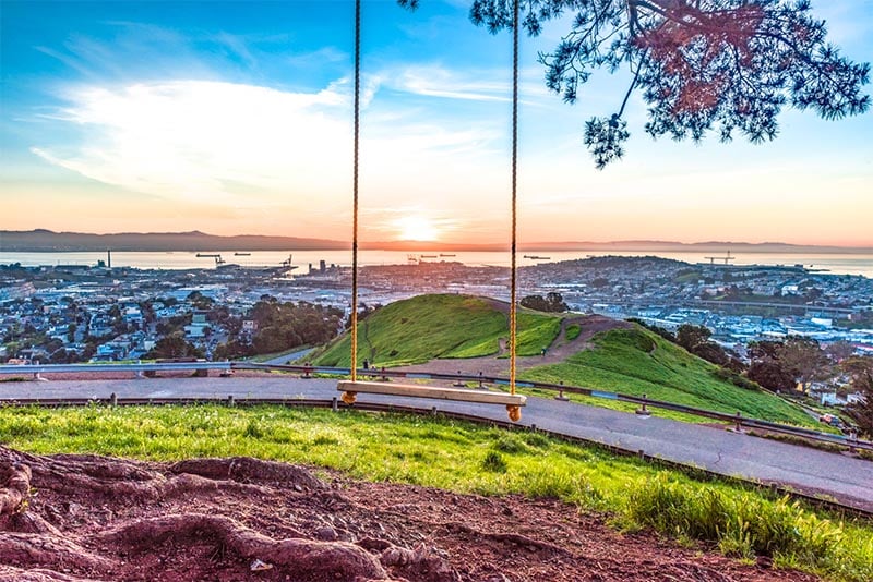 A swing sits on a tree overlooking all of San Francisco on a tall hill