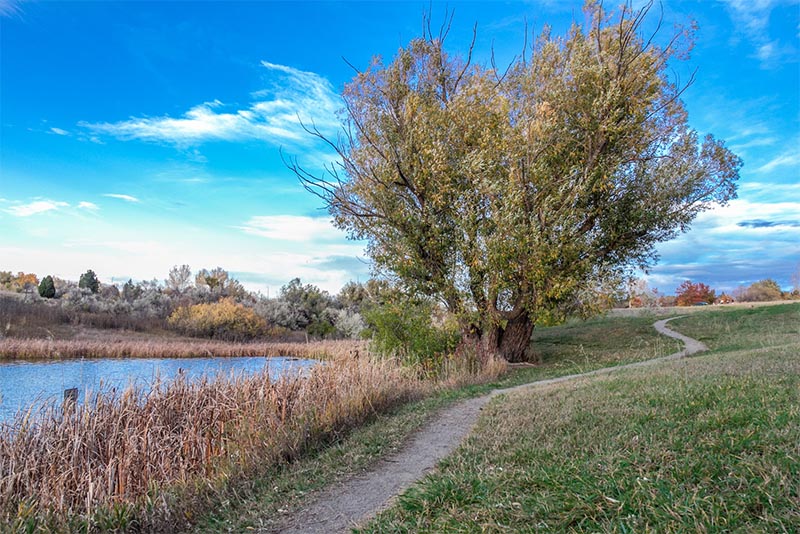 Trail at a park in Arvada, Colorado