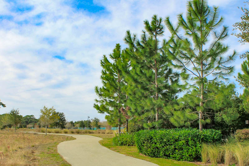 A trail on Lake Baldwin in Orlando Florida