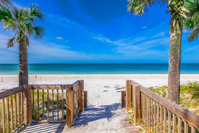 A beachfront with palm trees in Bradenton Florida