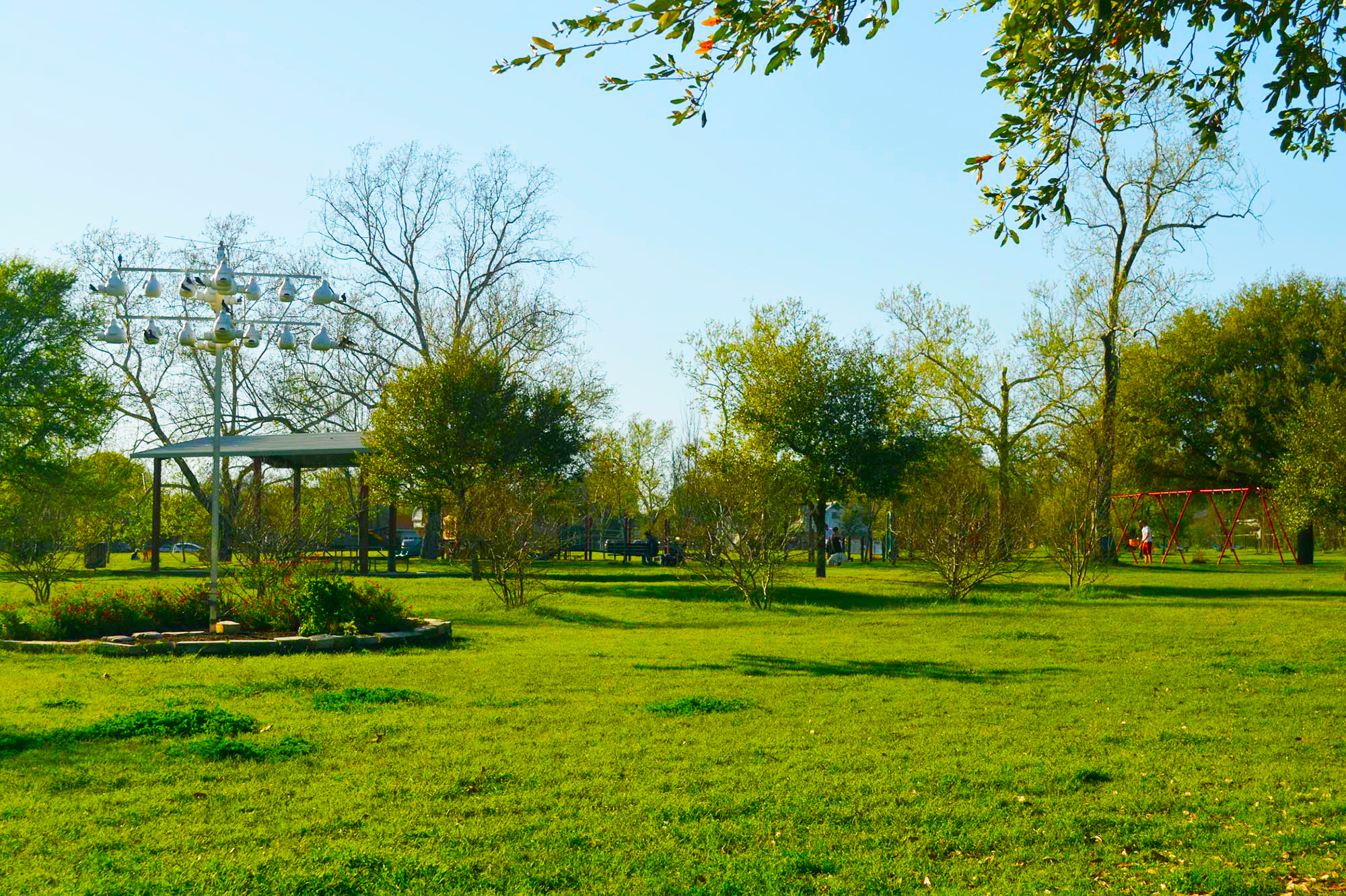 Trees and greenery in Brentwood Neighborhood Park in Austin, Texas