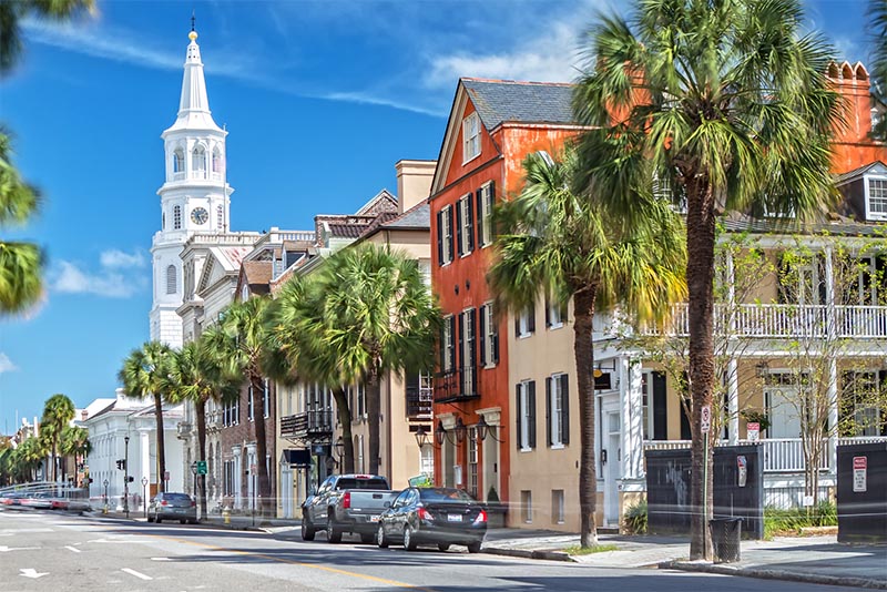 A palm tree-lined street in Charleston South Carolina