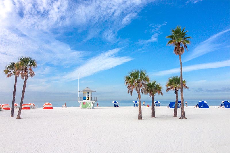 Clearwater Beach Florida with palm trees, umbrellas, and chairs on the beach