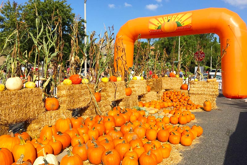 Calabasas Pumpkin Festival. 