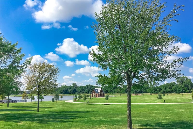 A park in Coppell, Texas with trees and blue skies