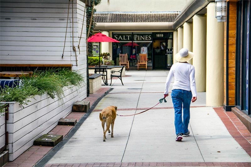 Woman walking her dog in retail plaza.