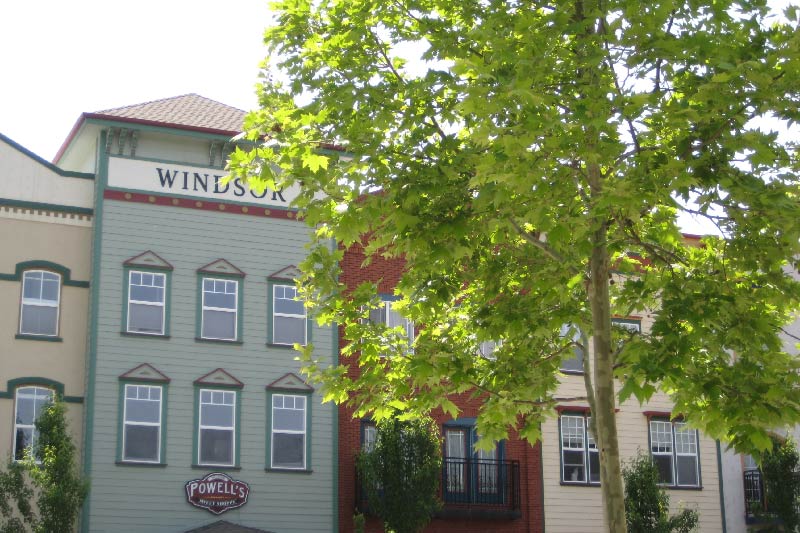 Main street of Windsor California