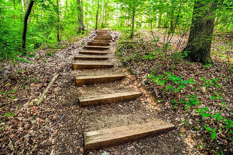 A wood plank path descends up a hill in a forest in Crowders Mountain State Park