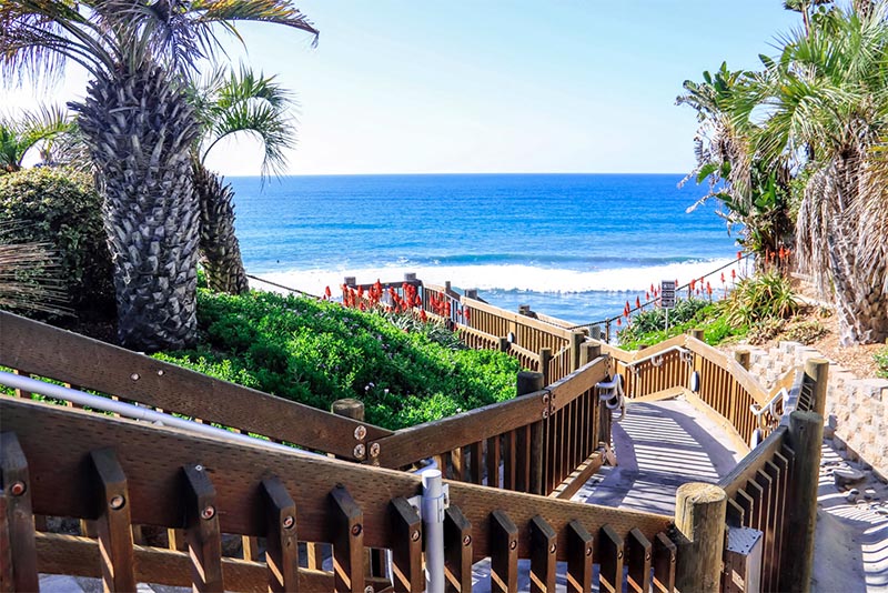 A wooden staircase leads down to the beach surrounded by palm trees in San Diego