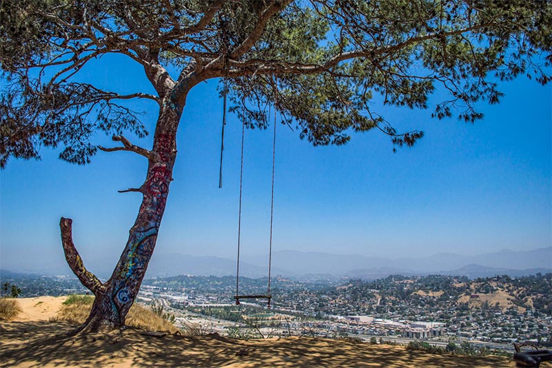 The Elysian Park Secret Swing that looks over the trail in Los Angeles