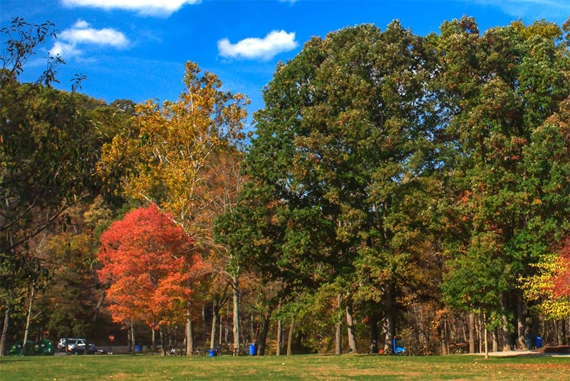 A park with autumnal trees in Euclid Ohio