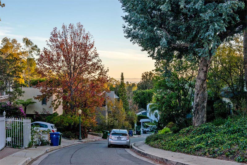 winding road going throush shaded neighborhood with homes and driveways.