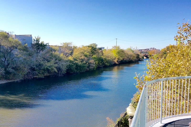 looking out at chiacgo river and treeline from outdoor patio