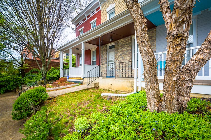 Trees and bushes in front of houses in Hampden, Baltimore, Maryland