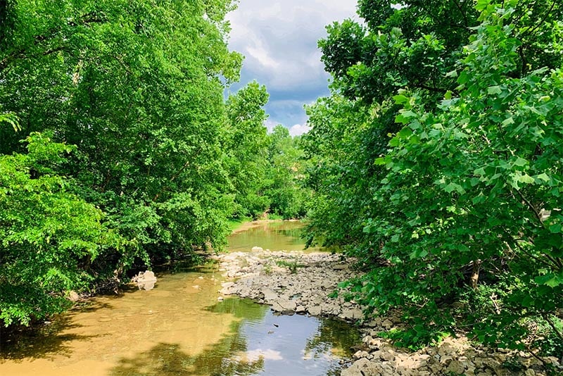A creek winds through trees in a park in Hendersonville Tennessee