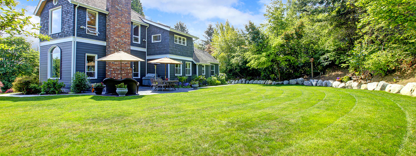 The Real Cost Of Having A Big Backyard Neighborhoods Com