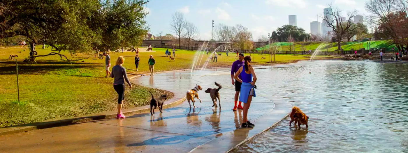 Best DogFriendly Businesses in Houston