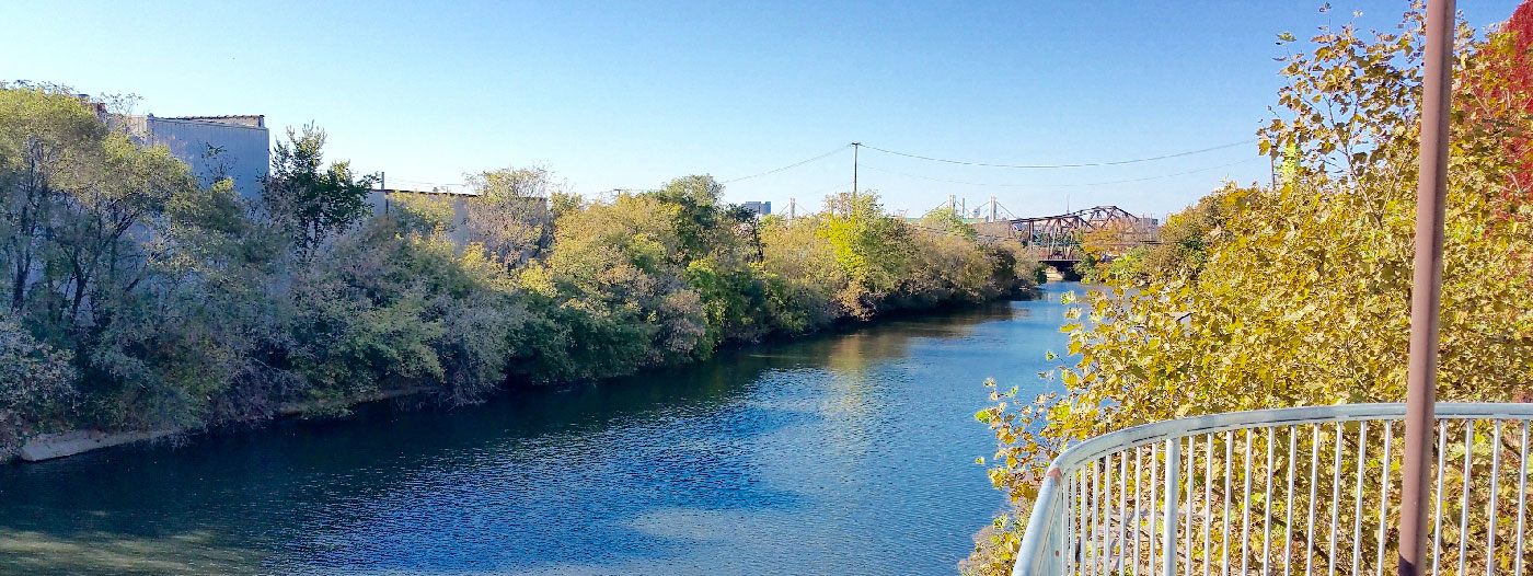 The Evolution of Chicago's Goose Island