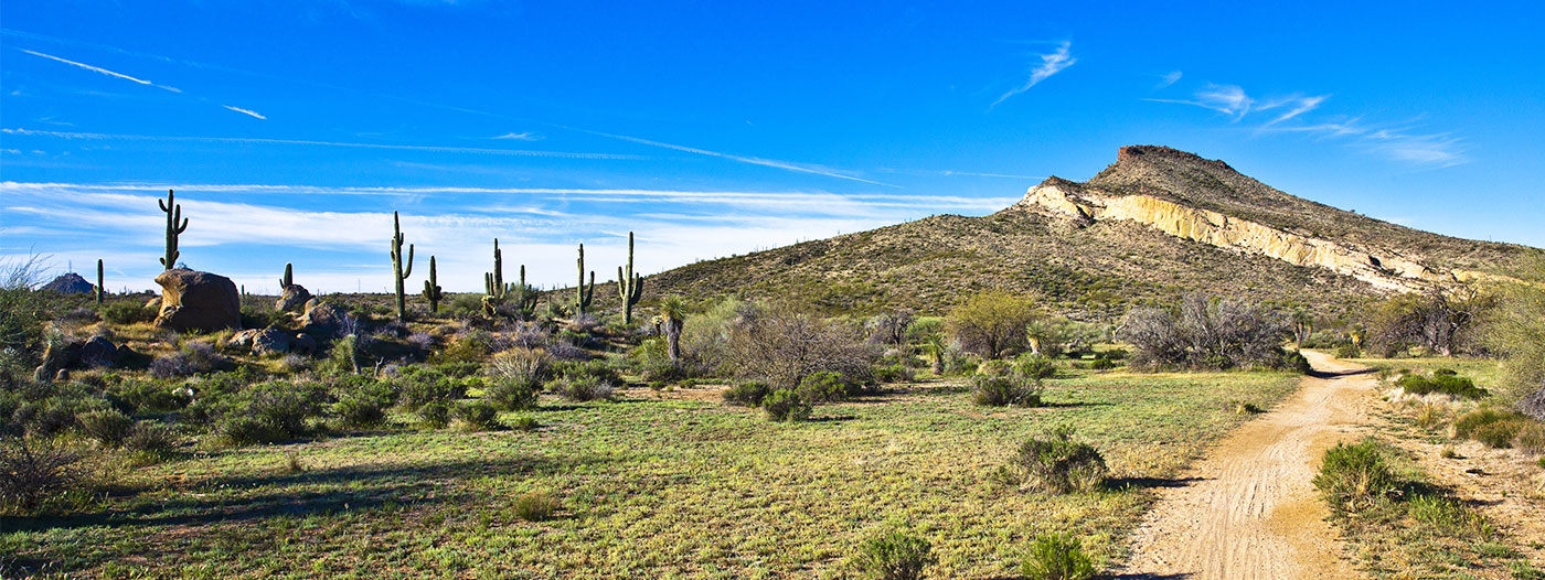 The Best Neighborhood Hiking Trails in Scottsdale | neighborhoods.com